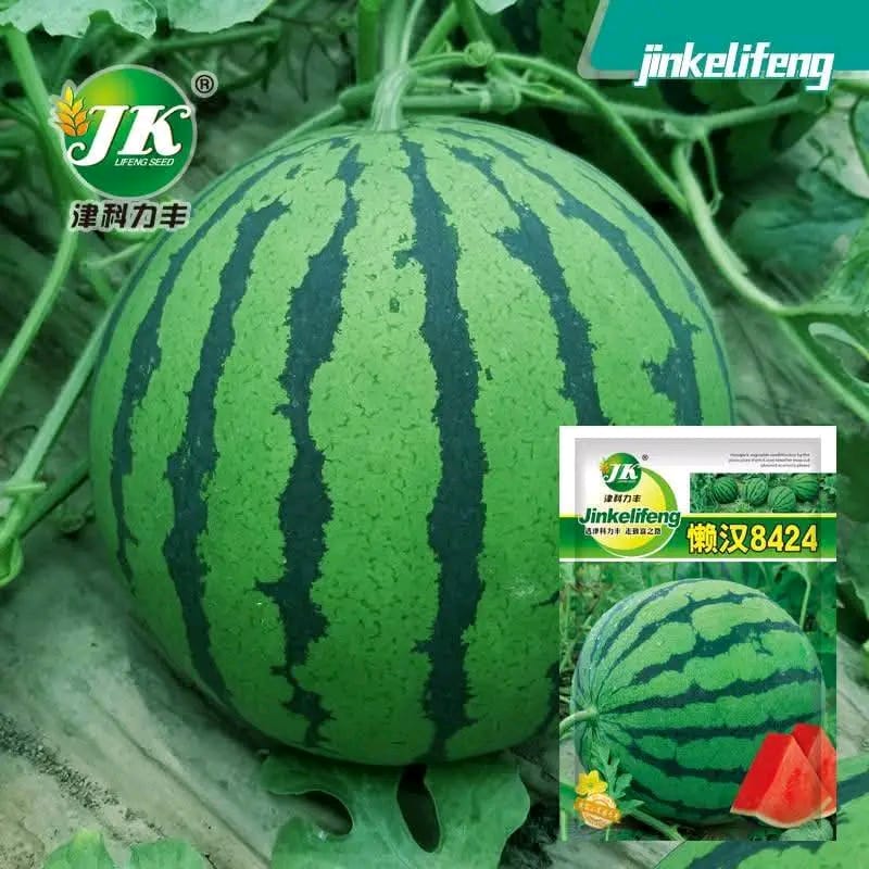 তরমুজ, Watermelon